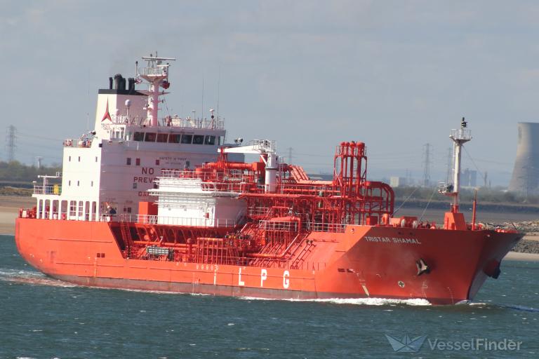 TRISTAR SHAMAL photo