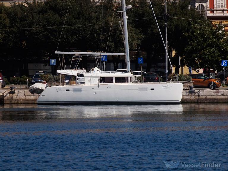 GREY GOOSE OF LONDON photo