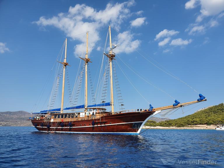THALASSA photo