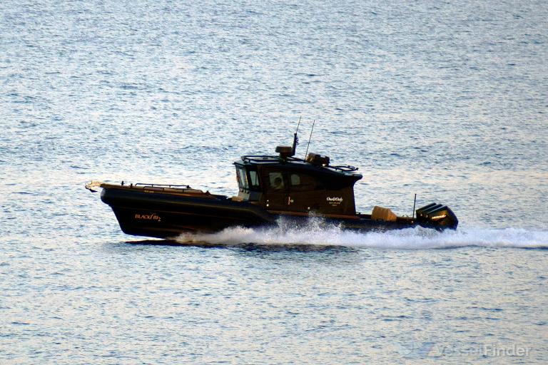 BLACKFIN TWO photo