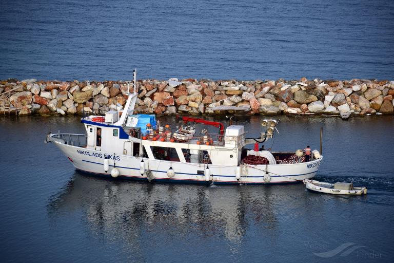 NIKOLAOS NIKAS photo