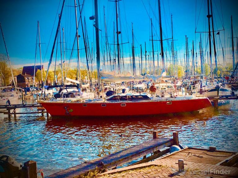 SNUGGER KONIJN photo