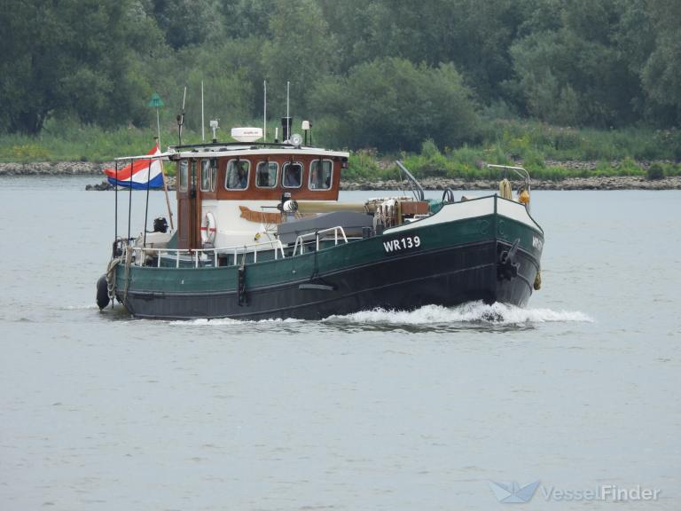 KAAT MOSSEL photo
