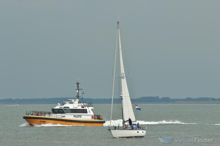 ETOILE DE LESCAUT photo