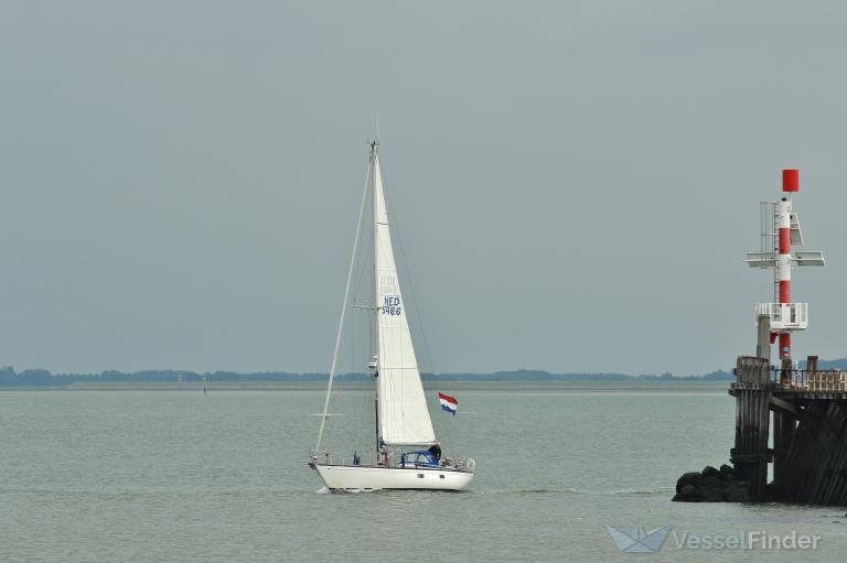 ETOILE DE LESCAUT photo