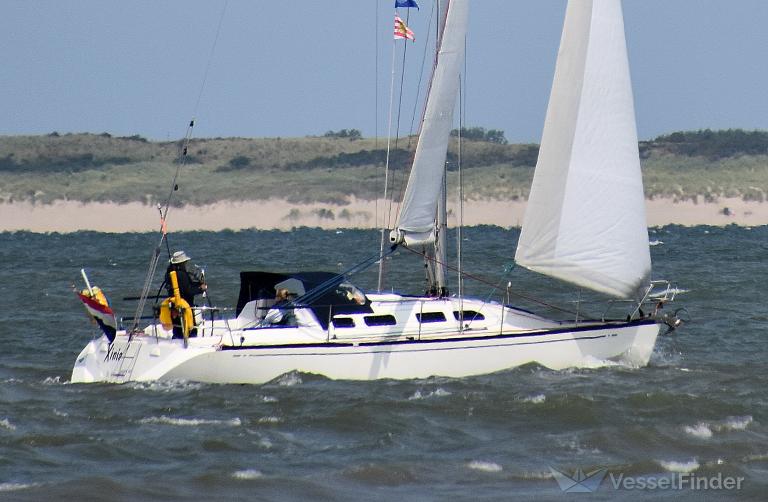 XINIA photo