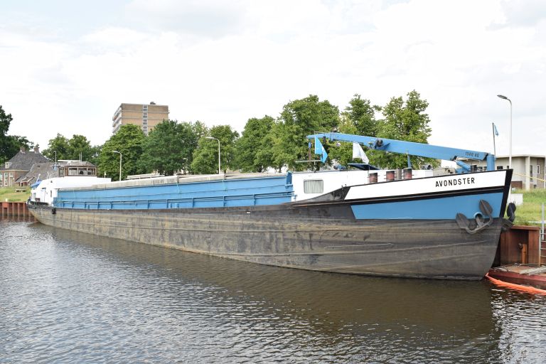 AVONDSTER