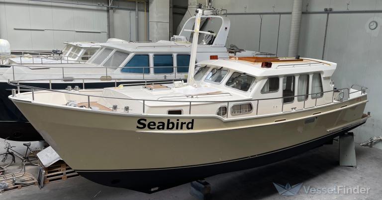 SEABIRD photo