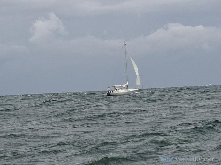 BALENA photo
