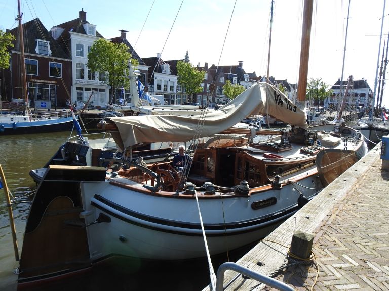 MAASVOGEL photo