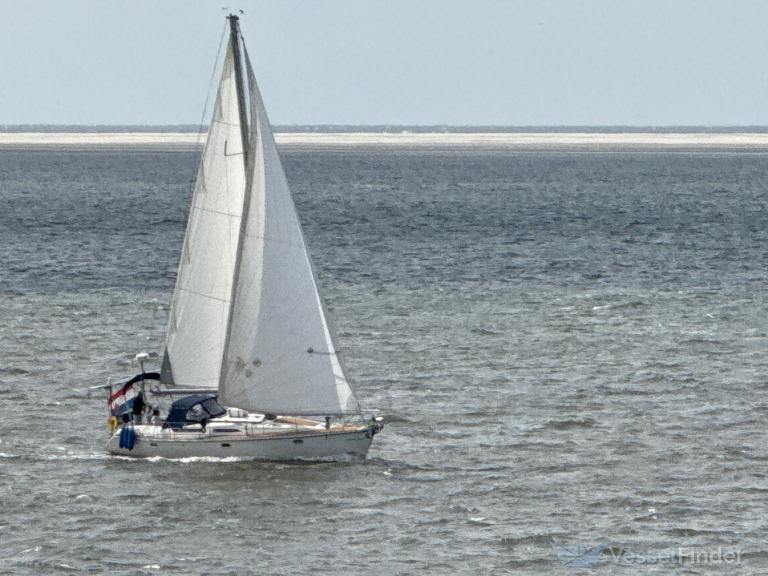 DE BLAUWE DRAECK photo