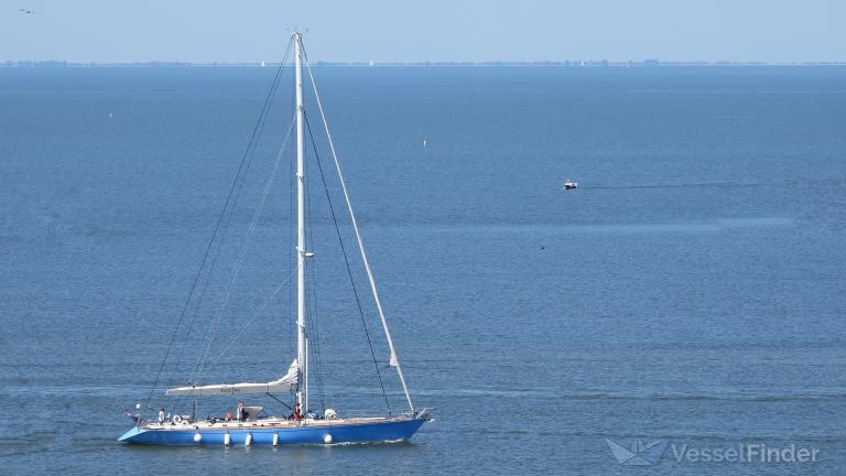 BALEINE photo