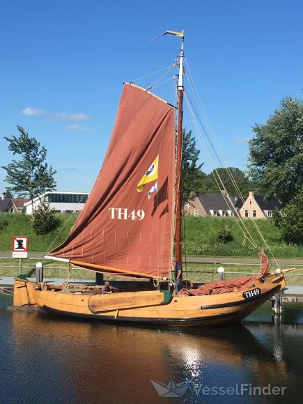 TH49 photo