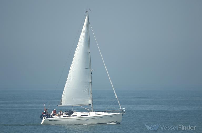 MOUETTE photo