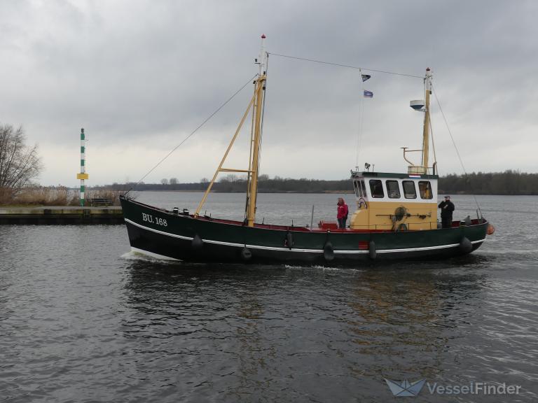 BU 168 MS photo