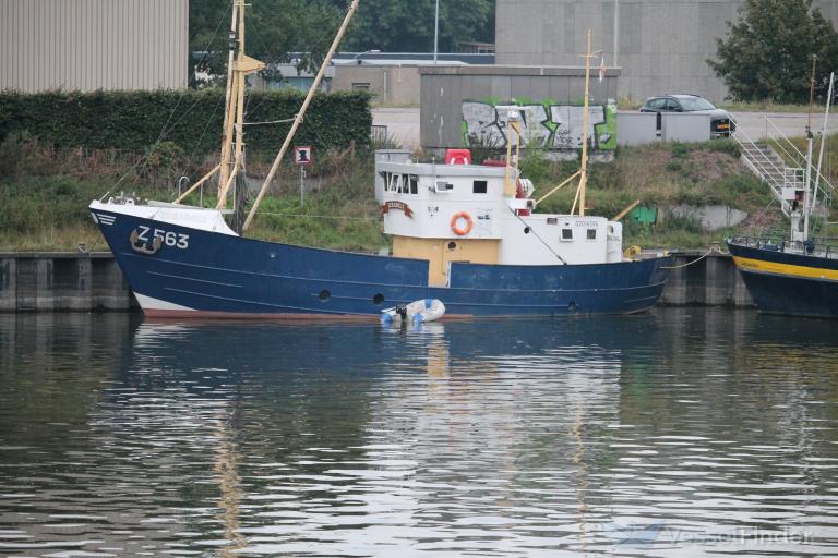 ZEEADELT photo