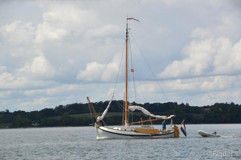 BARENDJE DONDERKOP photo