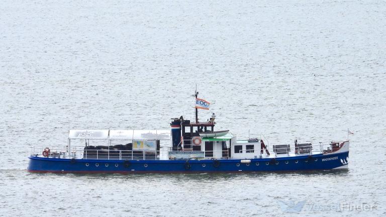 WADDENZEE photo