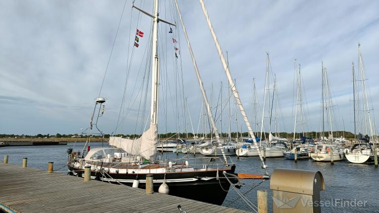 STENTOR photo