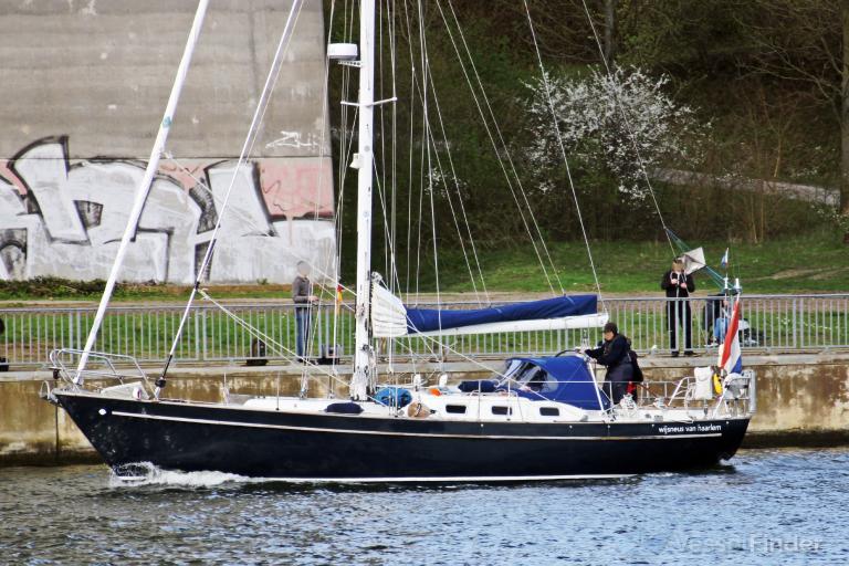 WIJSNEUS VAN HAARLEM photo