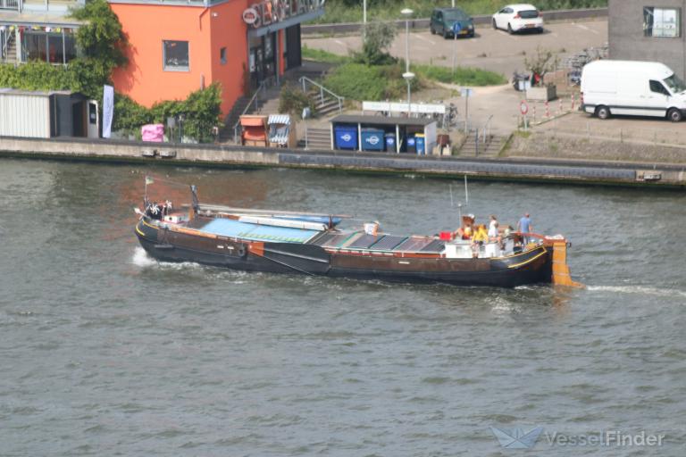 VERTROUWEN photo