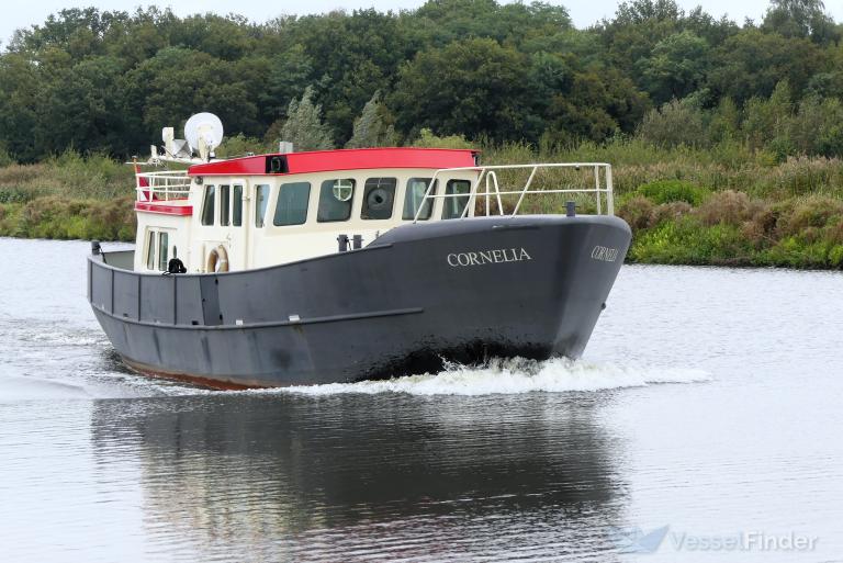 CORNELIA photo