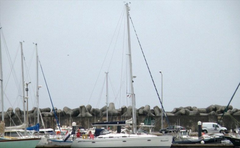 BLAUWVOET photo