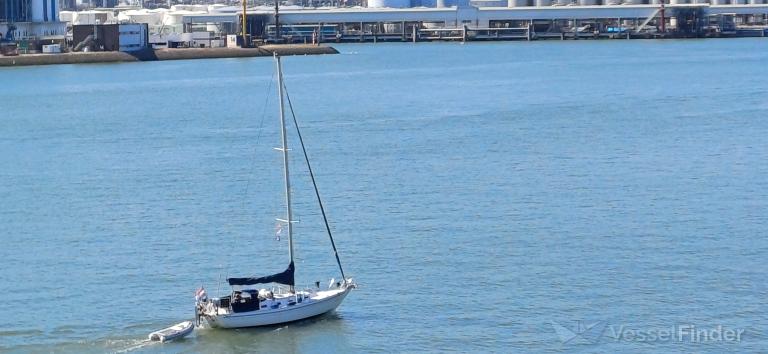 TANGAROA photo