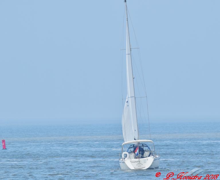 SAVANNAH photo