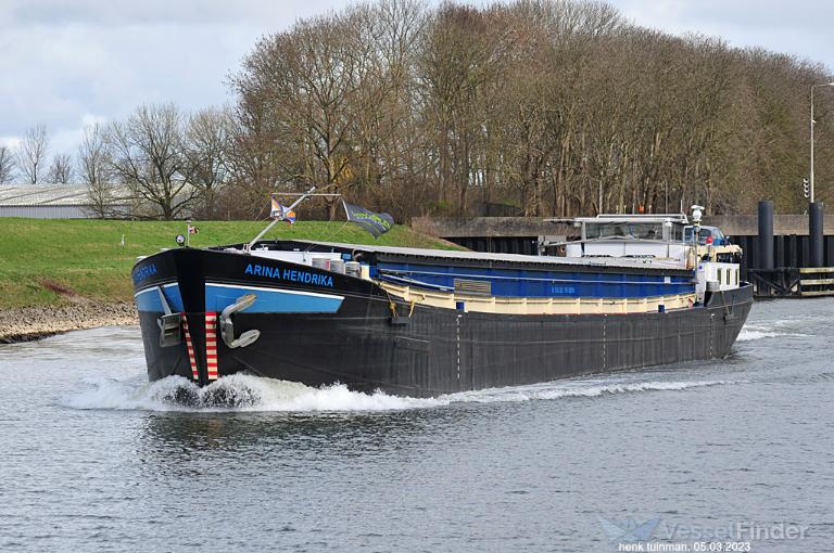 ARINA HENDRIKA photo