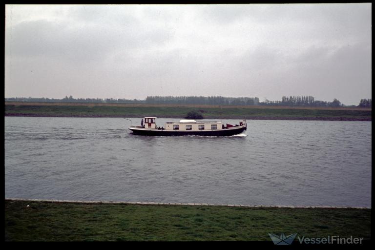 DELISE photo