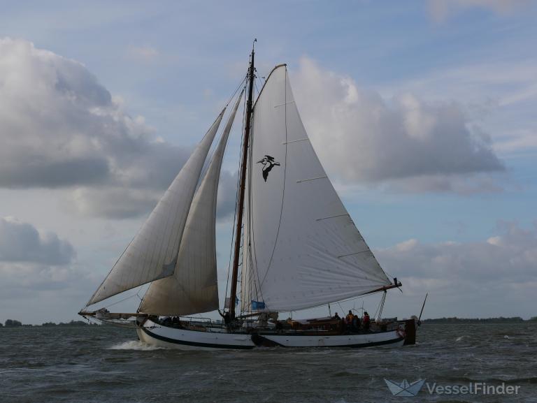 TJALKJACHT PELIKAAN photo
