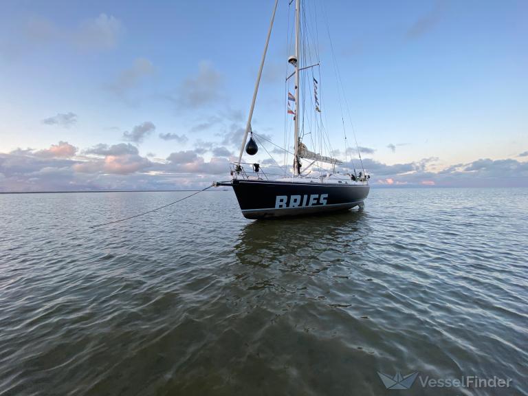 BRIES photo