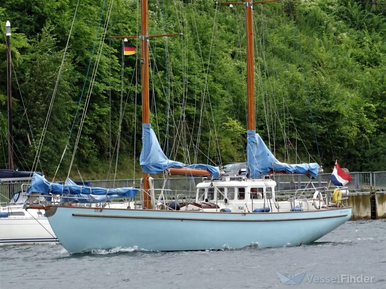 BLUEFIN photo