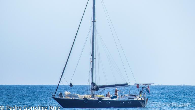 ALDERIA NORDICA photo