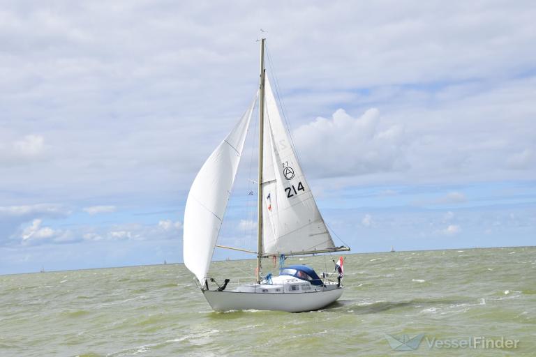 PIERINA photo