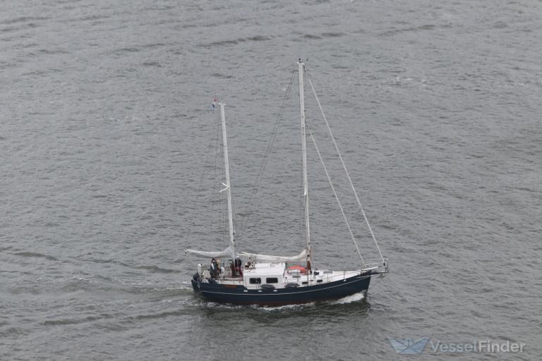 GAELIC ROSE photo