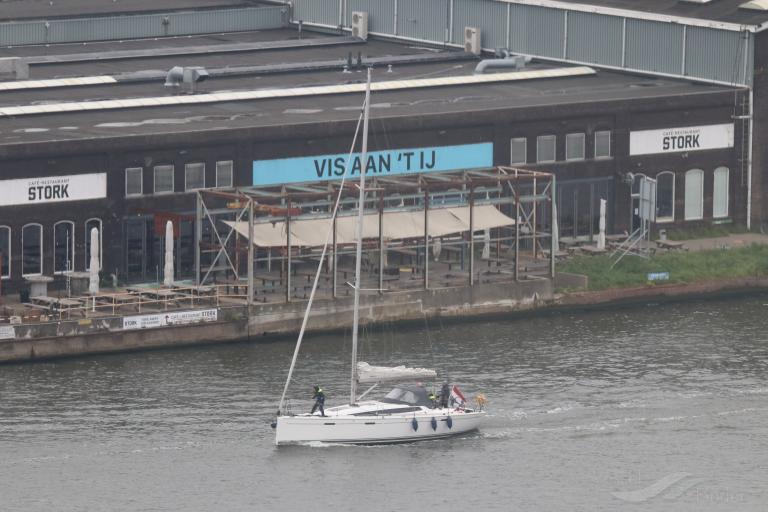 IJSVOGEL photo