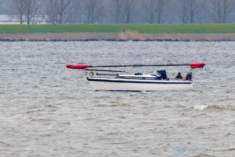 DUTCH DIVA photo