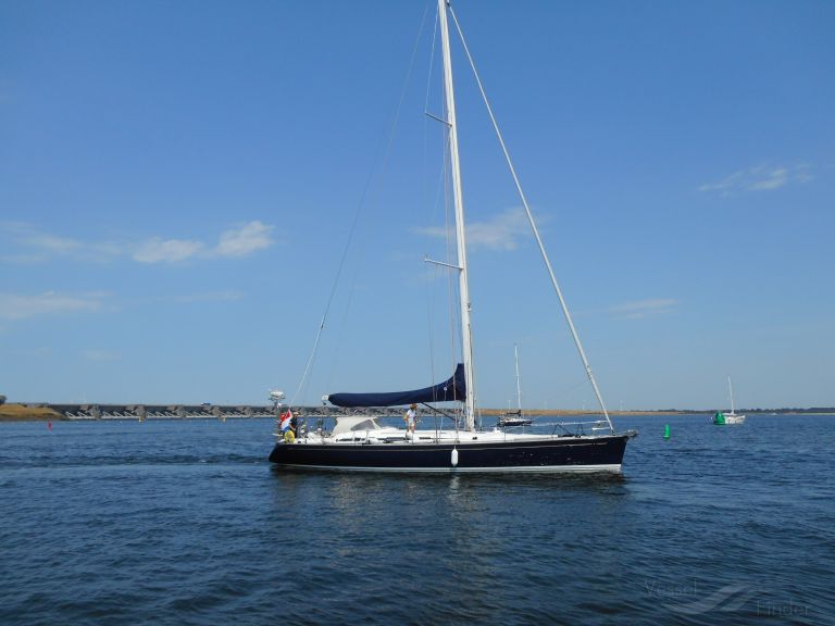 BLUE SWAN photo