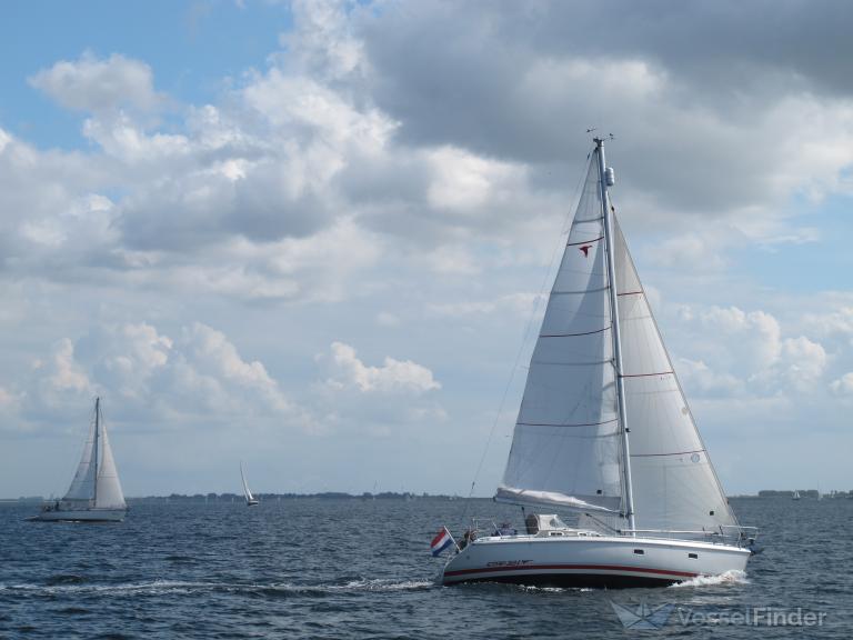 STORMVOGEL photo