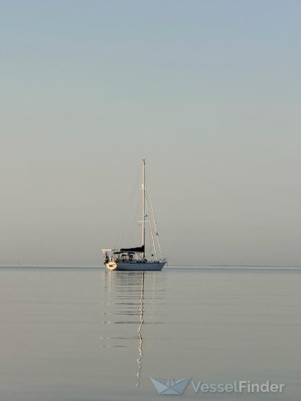QUELINDA photo