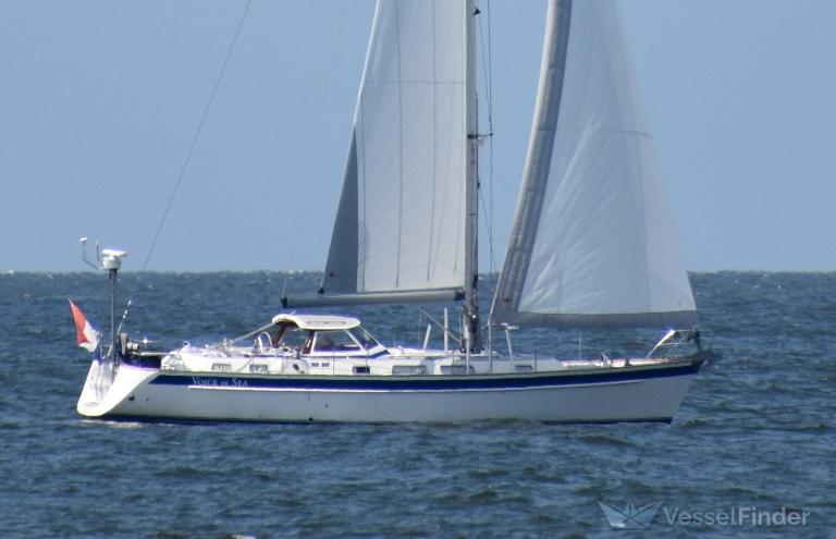 VOICE OF SEA photo