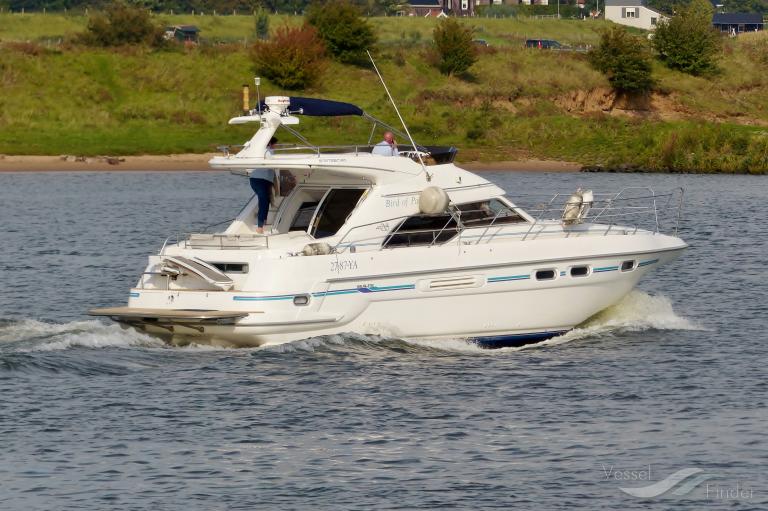 BIRD OF PARADISE photo