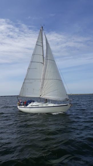 CHANGING WINDS photo
