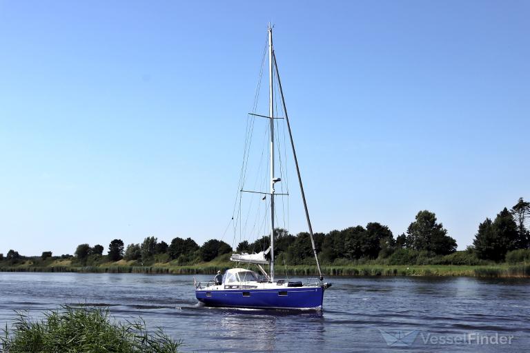 BLUE SUE photo
