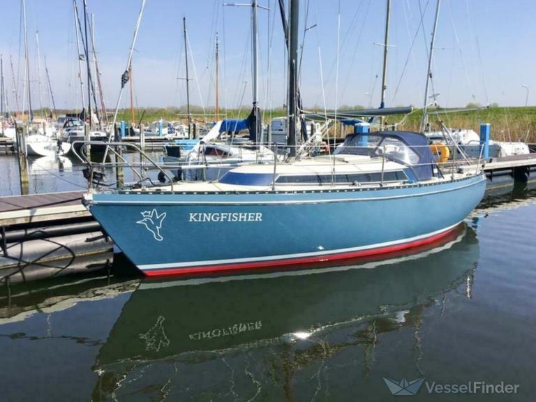 KINGFISHER photo