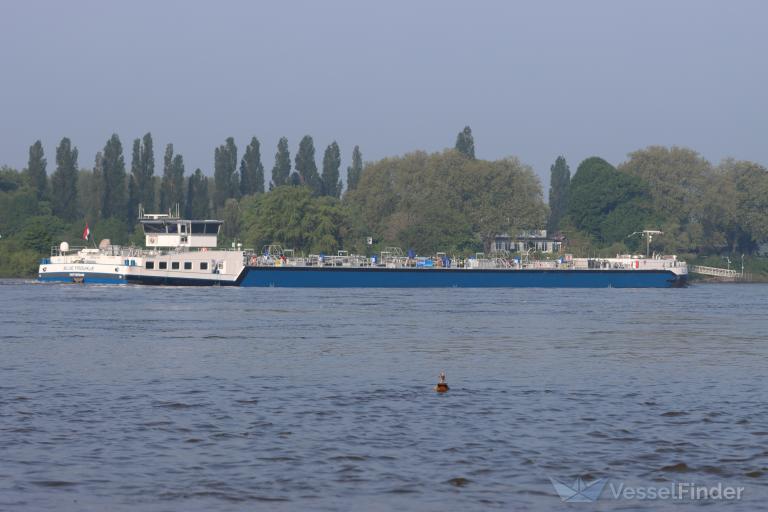 BLUE FROUKJE