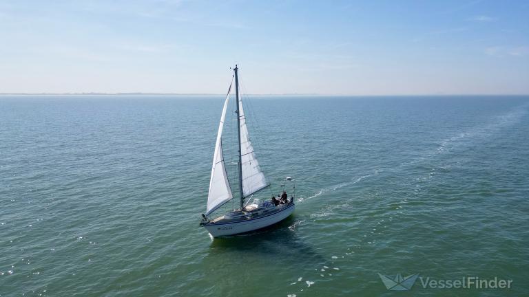 LUHAIYU 60687-46-91 photo