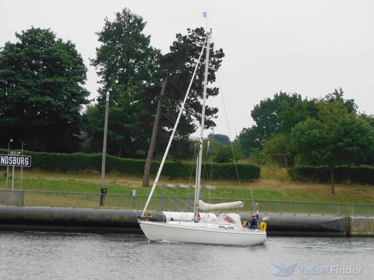 VLUGGE VLIEG photo